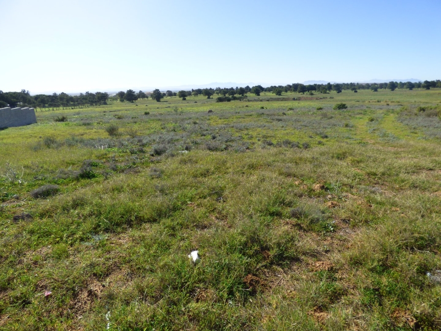 0 Bedroom Property for Sale in Darling Western Cape